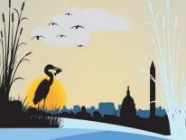 Fisheries and Wildlife Illustration of Heron looking over the Potomac to DC skyline
